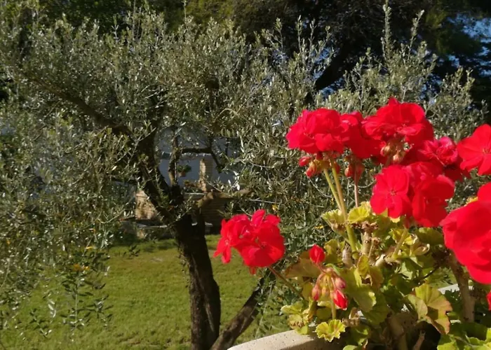 Perla Del Salento Alloggio per agriturismo